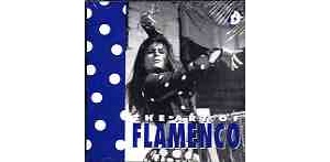 The art of flamenco